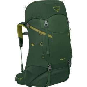 Osprey Ace 38 Green Canopy/Matcha Green Green Canopy/Matcha Green