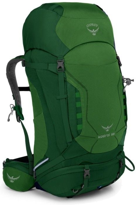 Osprey M's Kestrel 68L Jungle Green