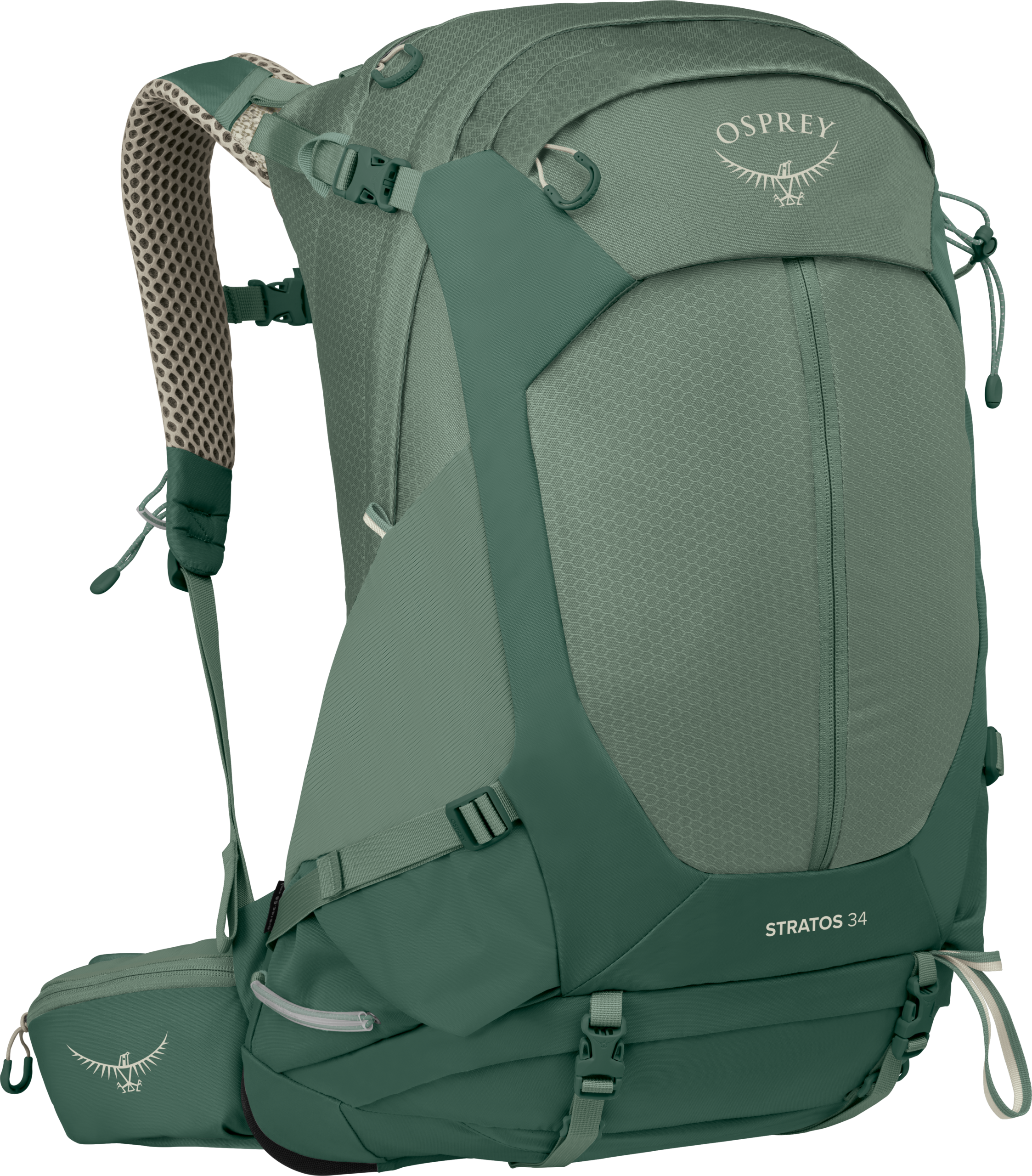 Osprey Men's Stratos 34 Pine Leaf Green